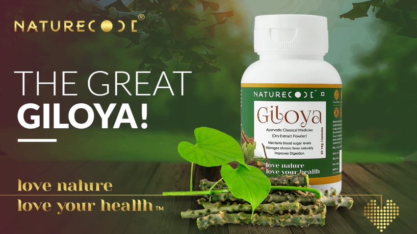 THE GREAT GILOYA! Naturecodeindia