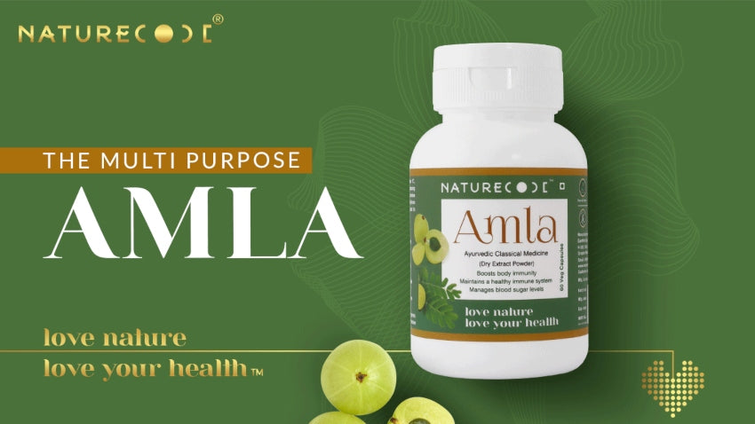 THE MULTI-PURPOSE AMLA Naturecodeindia