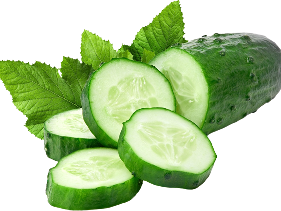 Cucumber Extract (Cucumis sativus)