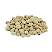 Kaunch Extract (Mucuna pruriens)