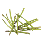 Shatavari Extract (Asparagus racemosus)