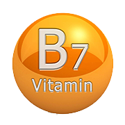 Biotin (Vitamin B7)