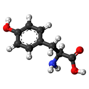 L-Tyrosine