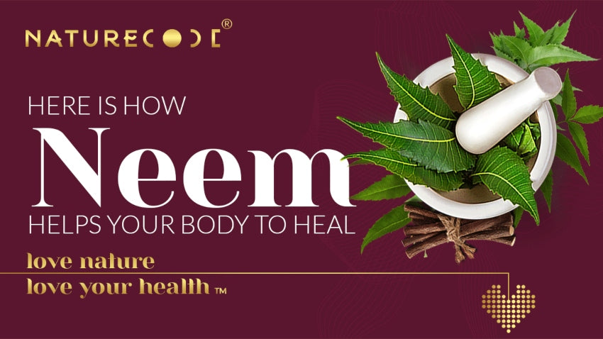 HERE IS HOW NEEM HELPS YOUR BODY TO HEAL Naturecodeindia