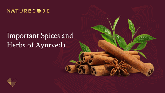IMPORTANT SPICES AND HERBS OF AYURVEDA Naturecodeindia