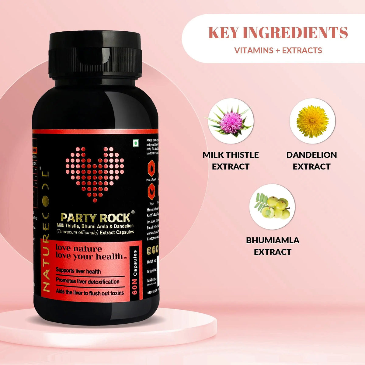 Party Rock® Naturecodeindia