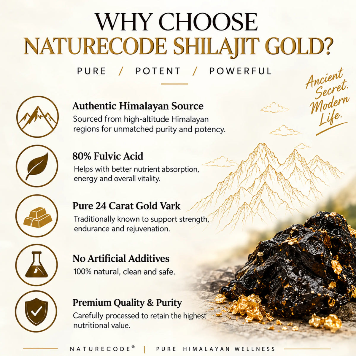Shilajit Gold Resin Naturecodeindia