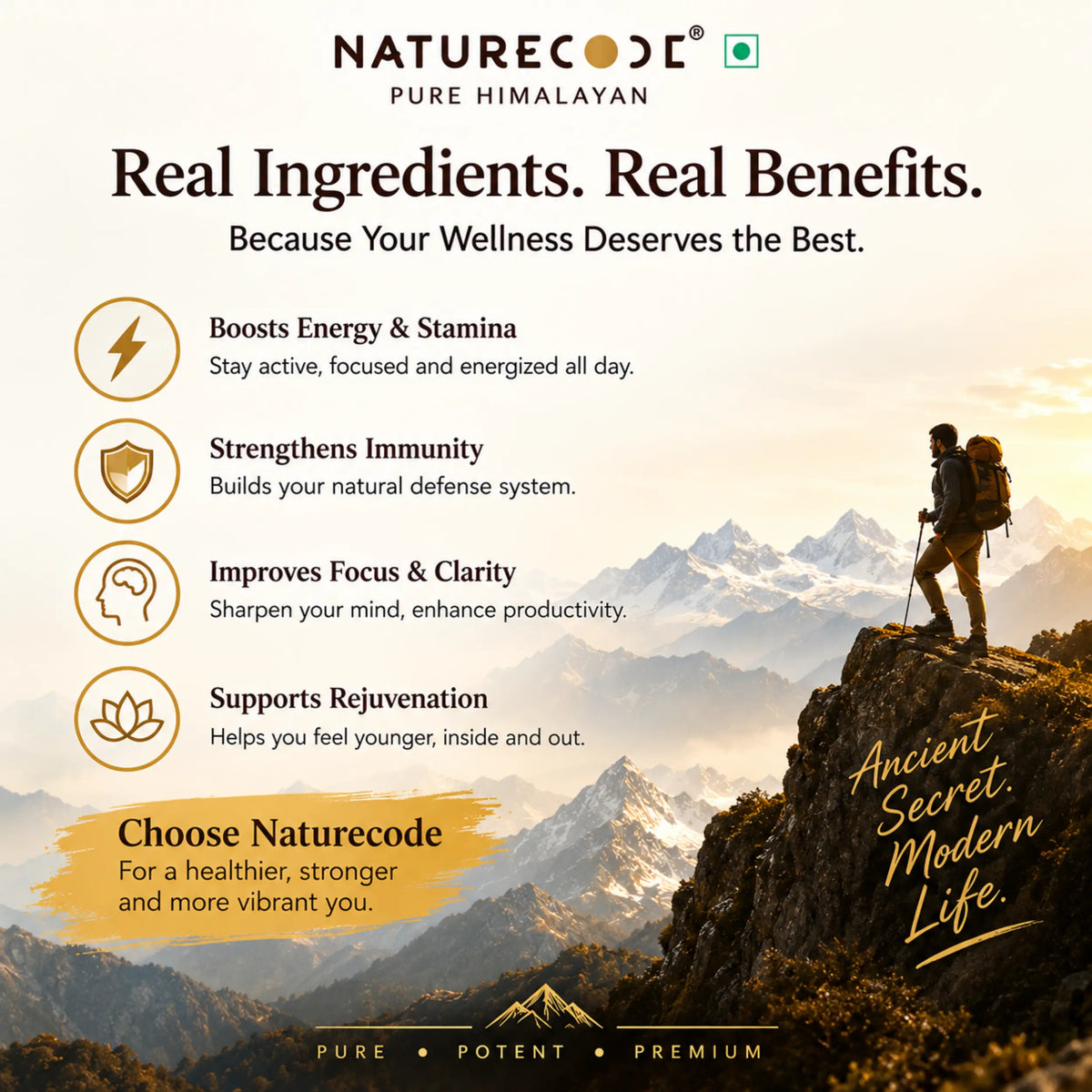 Shilajit Gold Resin Naturecodeindia