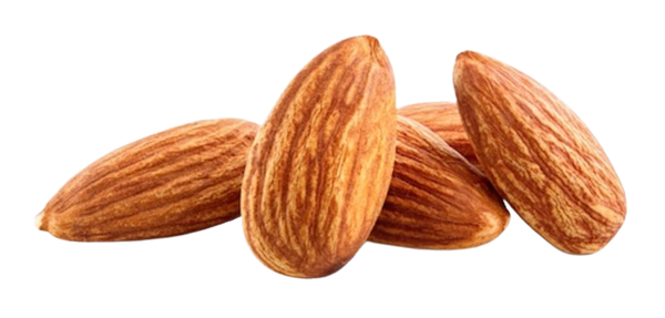 Organic Sweet Almond Oil (Prunus dulcis)