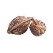 Pure Arjuna Bark Extract (Terminalia arjuna)