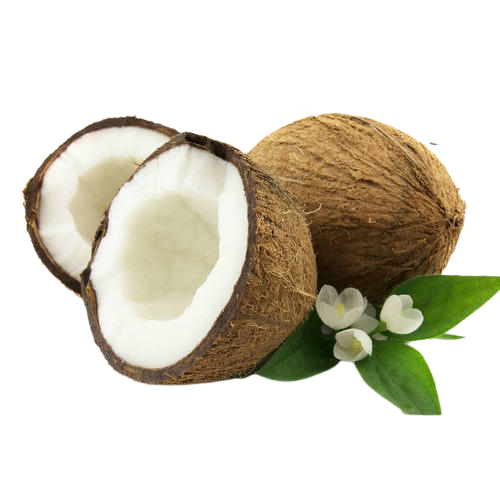 Organic Coconut Oil (Cocos nucifera)