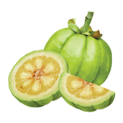 Garcinia Cambogia Extract