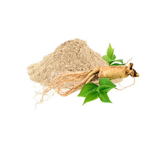 Panax Ginseng Extract (Panax ginseng)