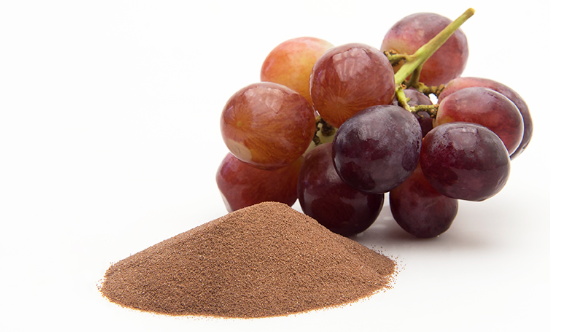 Grape Seed Extract (Vitis vinifera)
