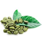 Green Coffee Bean Extract (Coffea arabica)