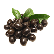 Jamun Seed Extract (Syzygium cumini)