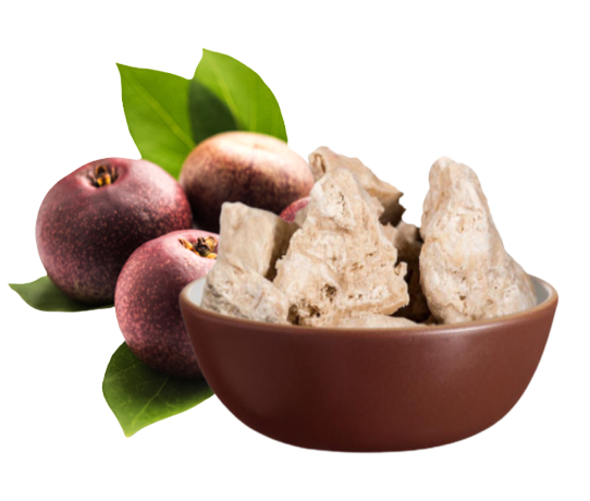 Kokum Butter (Garcinia indica)