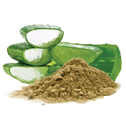 Organic Aloe Vera (Aloe barbadensis)