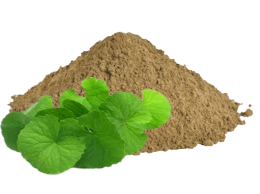 Centella Asiatica Extract