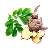 Konjac Root Powder
