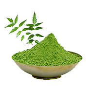 Neem Extract (Azadirachta indica)